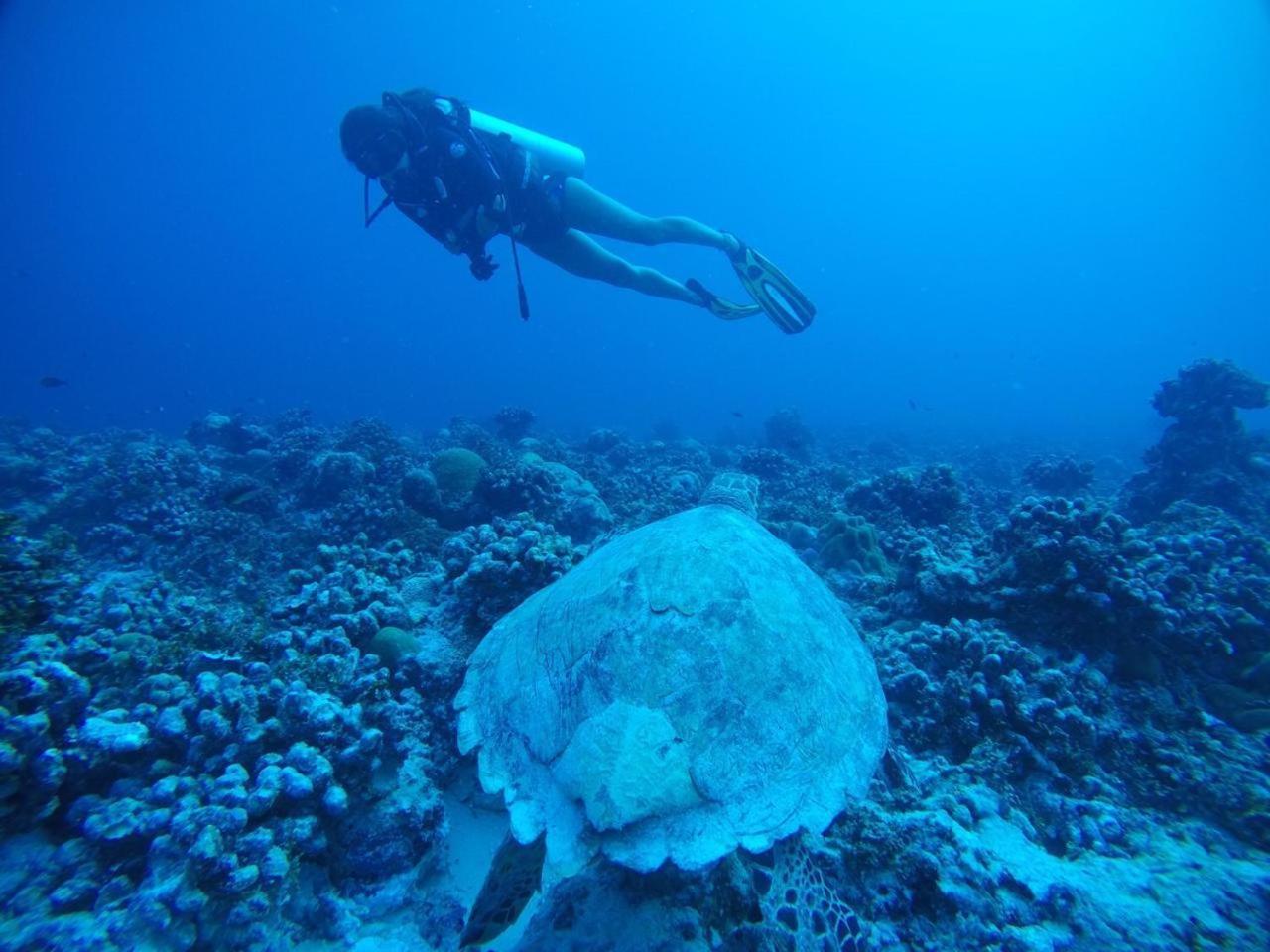 Sandy Heaven Maldives 3*